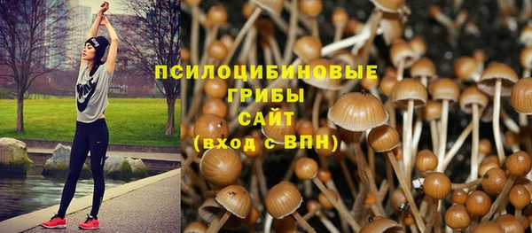 гидропоника Краснослободск