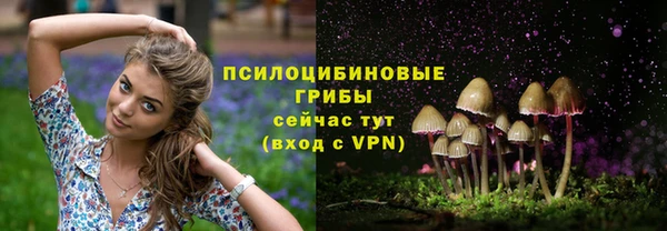 гашишное масло Красноперекопск