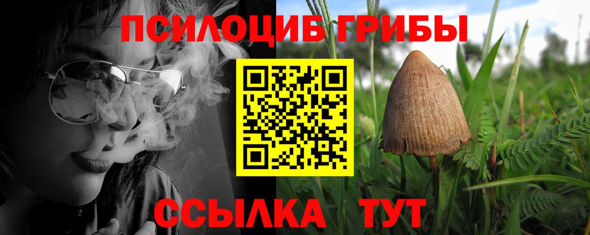Псилоцибиновые грибы GOLDEN TEACHER Киреевск