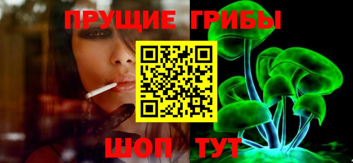 Киреевск  Псилоцибиновые грибы Cubensis  Вход с VPN 